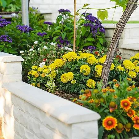 Βίλα Casa De La Mare - Αλμπένα