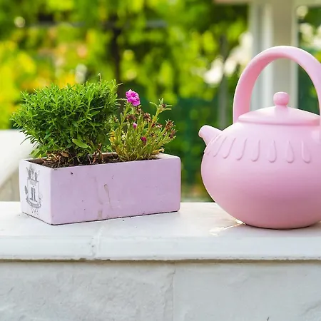 Вілла Casa De La Mare -