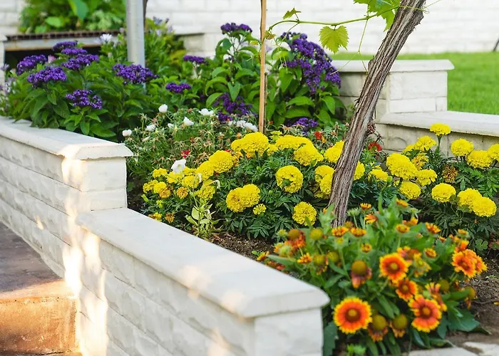 Βίλα Casa De La Mare - Αλμπένα