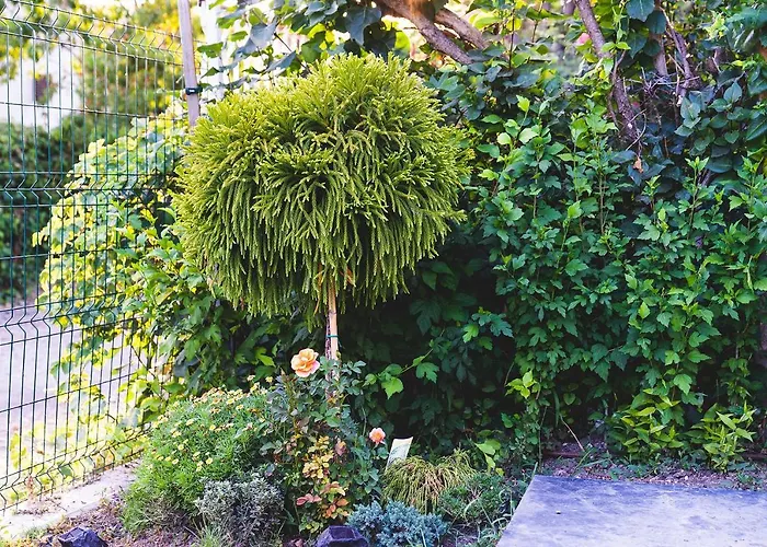 Βίλα Casa De La Mare -