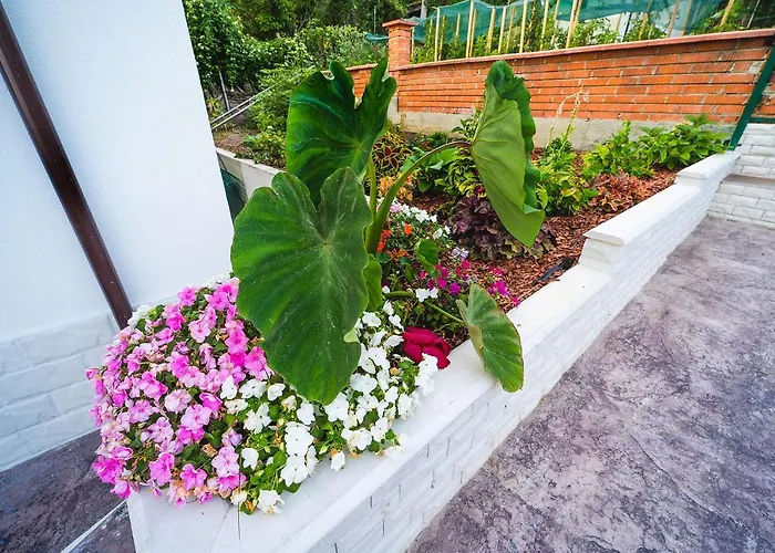 Casa De La Mare - Αλμπένα